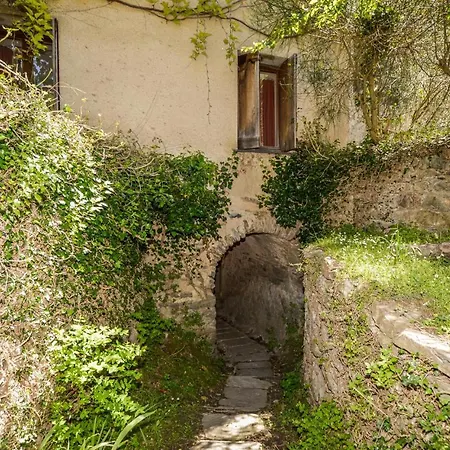 Gorgeous In Carcheto Brustico * Stazzona