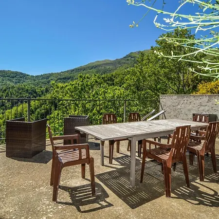 Gorgeous In Carcheto Brustico *