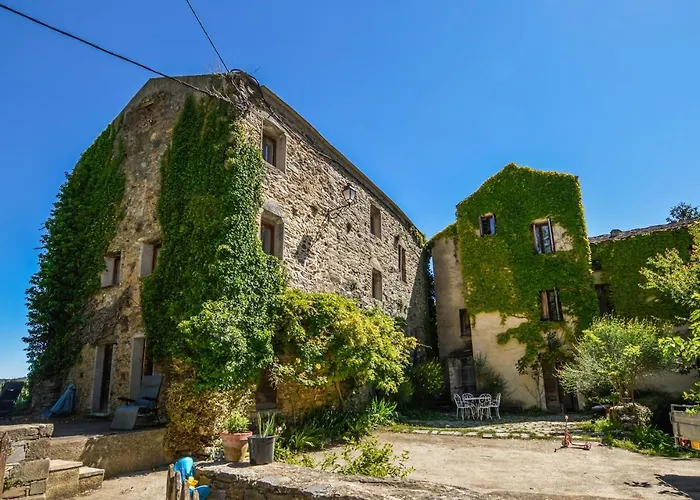 Gorgeous In Carcheto Brustico * Stazzona