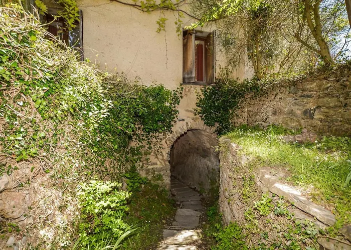 Gorgeous In Carcheto Brustico * Stazzona